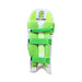 CA Plus 15000 cricket batting leg guards, detailed product view