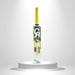 CA Pro Force 10000 cricket bat back with yellow graphics