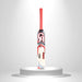 CA Pro Force 12000 cricket bat back with red and silver graphics