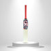 CA Pro Force 12000 tennis ball cricket bat front face and red grip