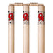 Close-up of CA wooden cricket stump tops and bails
