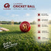 Corrected cricket ball feature image