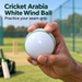 Cricket Arabia white wind ball with green stitched seam - grip practice