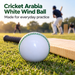 Cricket Arabia white wind ball with green stitched seam - casual cricket practice