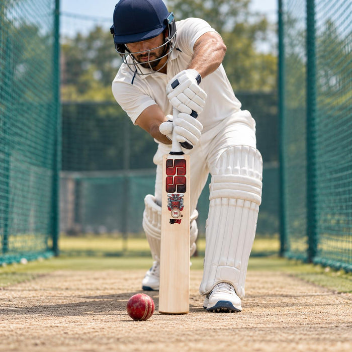 SS Devil Red cricket bat in use