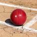 Red synthetic cricket ball showing molded seam on the crease