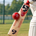 Red SG cricket practice ball contacting a bat
