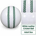 Adult white leather cricket ball with seam and leather close-ups