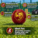SG Everlast Tec synthetic cricket ball features graphic