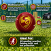 SG Everlast Tec synthetic cricket ball features graphic
