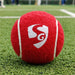 Red SG Club tennis cricket ball on practice ground grass