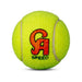 Neon yellow CA Speed tennis cricket ball close-up