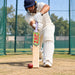 ZAP Classic Match cricket bat in use