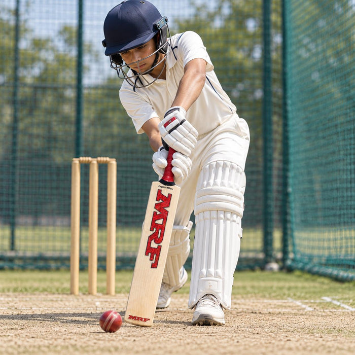 MRF Genius Grand Edition Harrow cricket bat used for batting practice