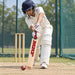 MRF Genius Grand Edition Harrow cricket bat used for batting practice