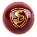 SG Club logo view