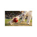 SG cricket batting image matching the reference