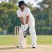 SG HP 33 SH cricket bat in use
