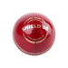 SG Shield 30 Red leather cricket ball, studio product view