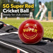 SG Super Red Leather Cricket Ball - cricket practice setting