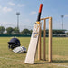 Square CA bat beside stumps image