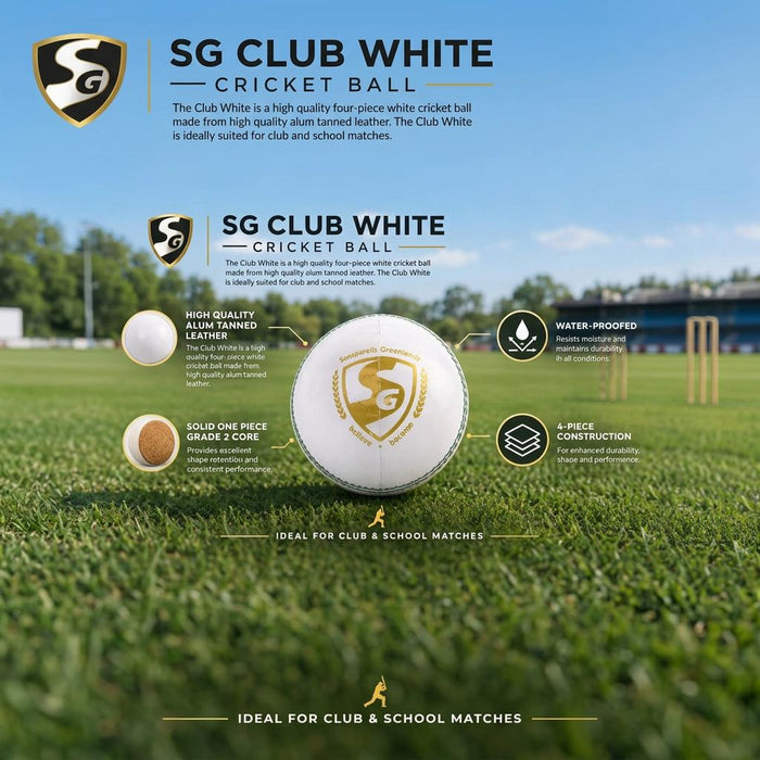 Square SG ball features infographic