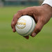 Square SG ball hand-held image