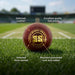 Square SS ball features image