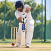 SS Ranger English Willow Cricket Bat - SH - cricket nets practice