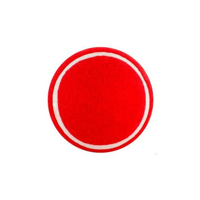 SS Swing Cricket Ball red side with white seam