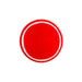 SS Swing Cricket Ball red side with white seam