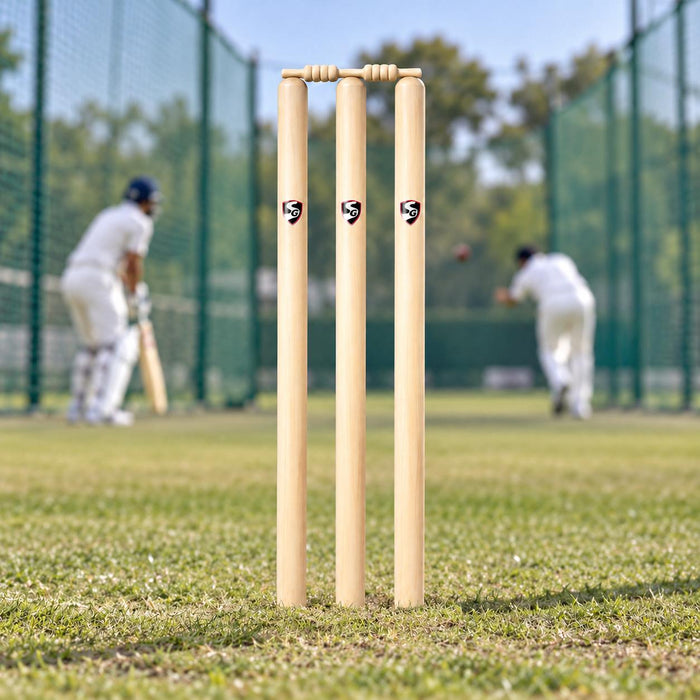 SG Tournament natural wooden stumps and two bails assembled on a cricket pitch