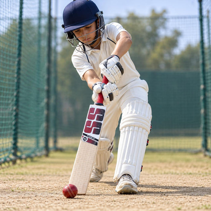 SS Tiger junior Size 6 cricket bat in use