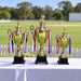 Cricket Arabia three-piece gold-colour trophy set on a cricket awards table