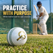 White leather cricket ball with gold logo on grass beside practice nets