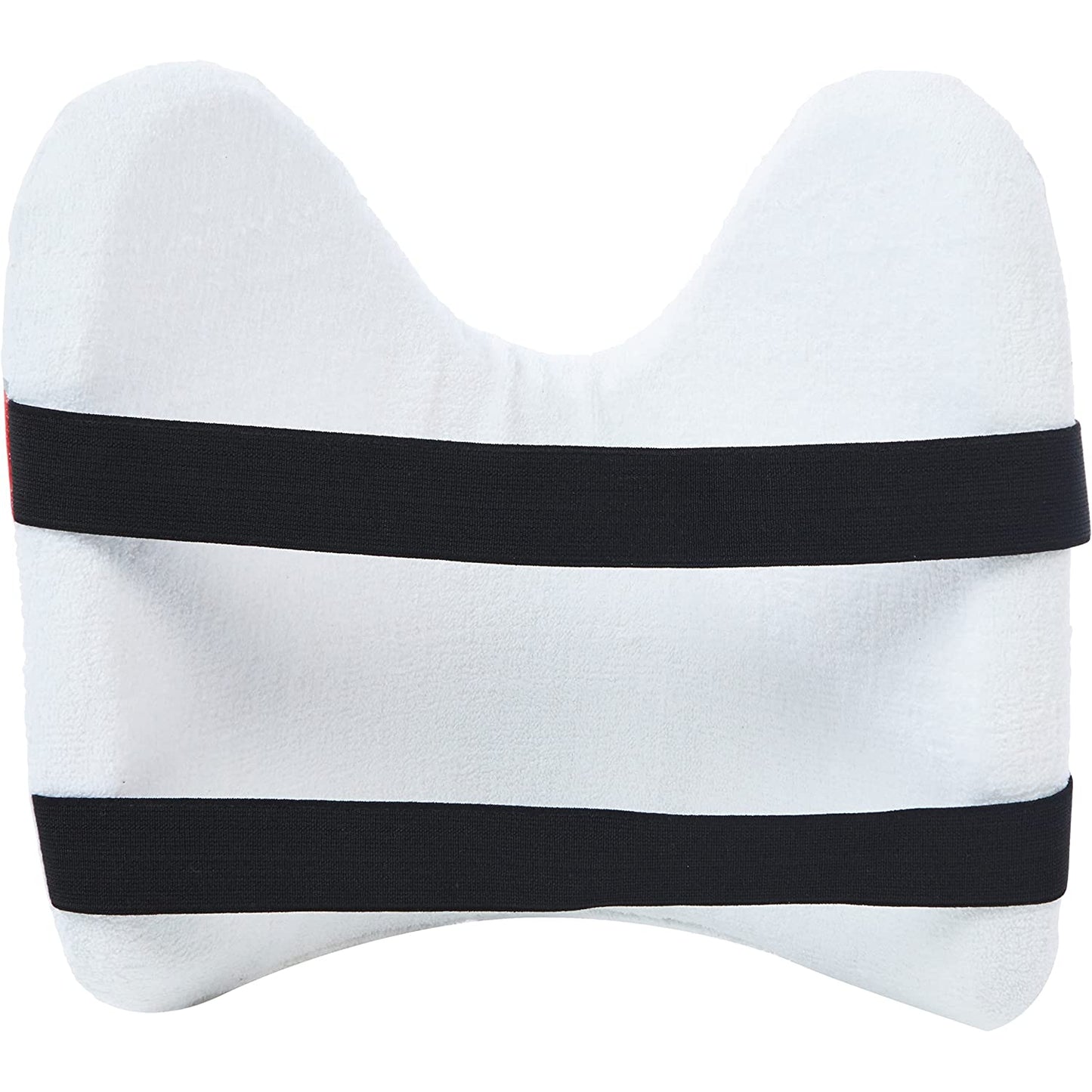SS Chest Guard for Cricket - TEST