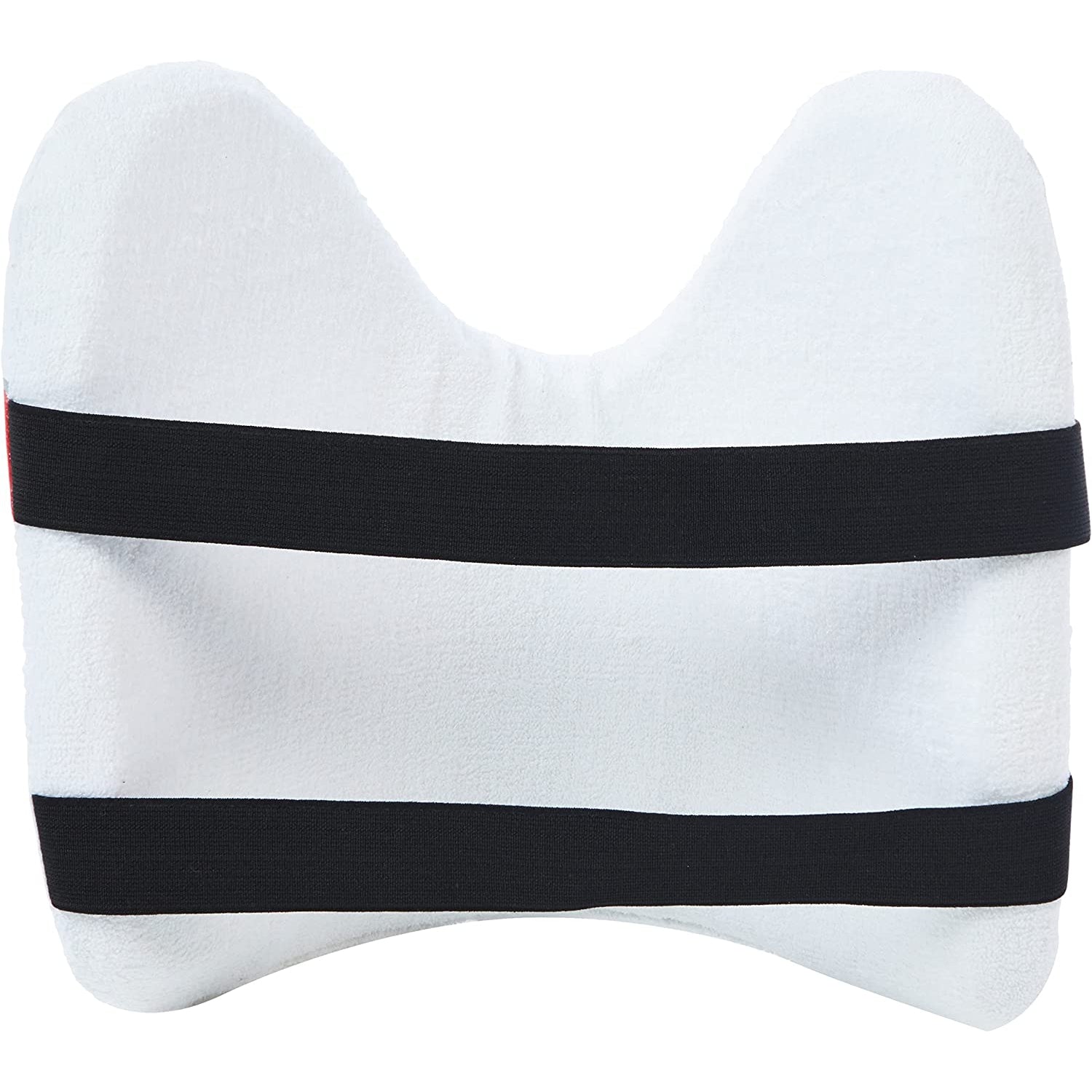 SS Chest Guard for Cricket - TEST