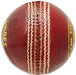 SS Club Leather Cricket Ball Red (Pack of 3)