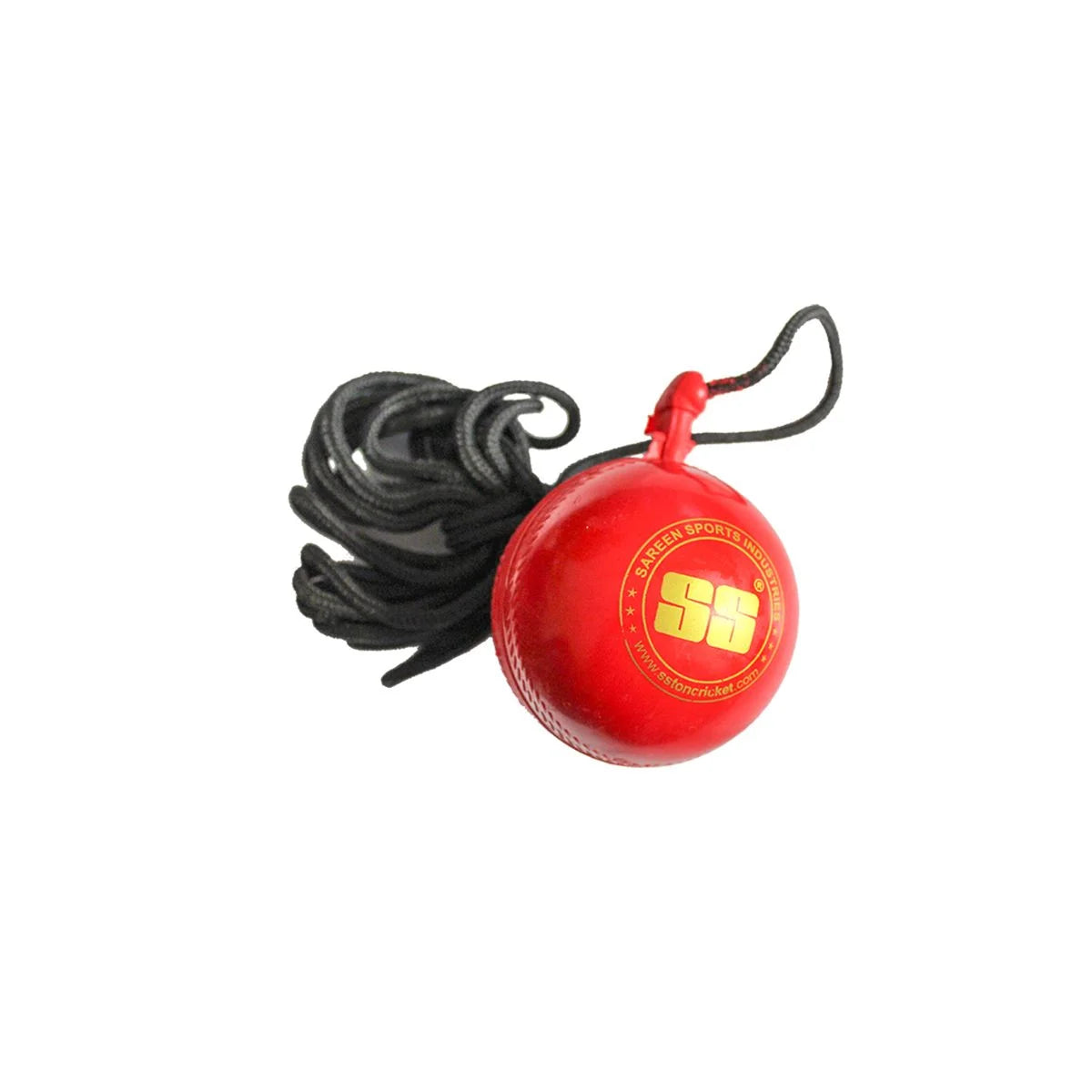 SS Hanging Cricket Ball with String for Training
